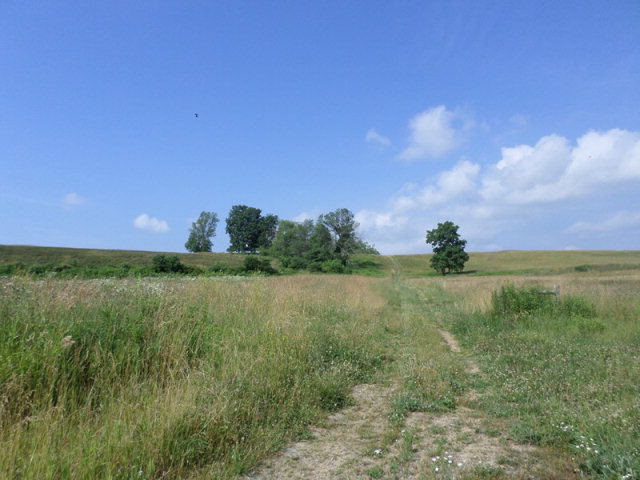 00 8892Route 66, Fairmount City, PA 16224