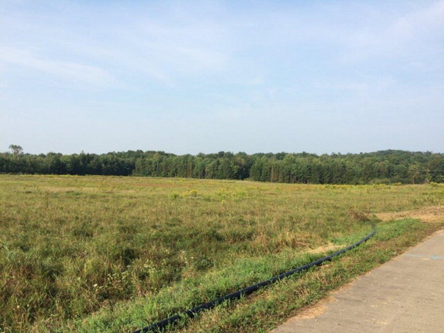 6838 RT 338 Lot 4, Knox, PA 16232