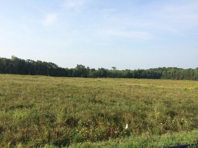 6838 RT 338 Lot 4, Knox, PA 16232