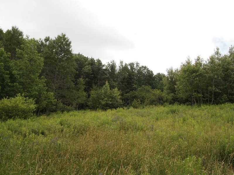 0 Panther Gap Road, Pittsfield, PA 16340