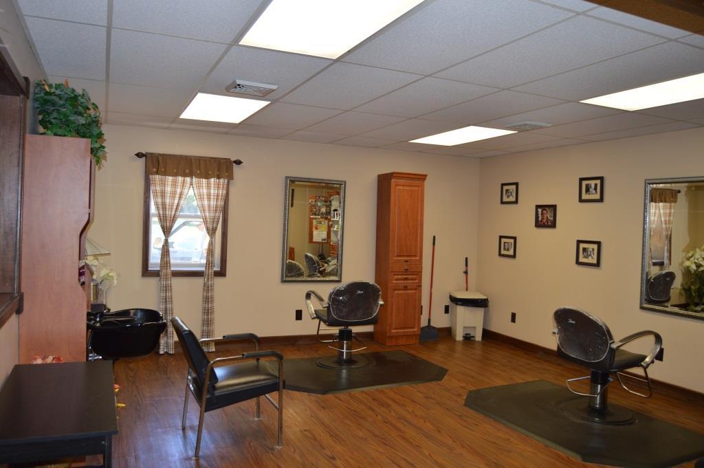 116 SPRING ST, Cambridge Springs, PA 16403