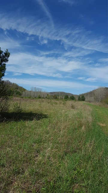 00 Fishing Creek Rd, Roulette, PA 16746
