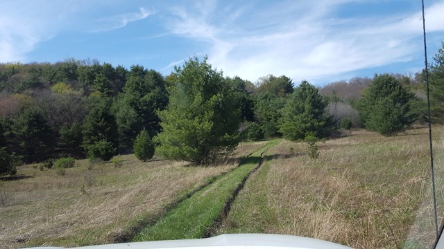 00 Fishing Creek Rd, Roulette, PA 16746