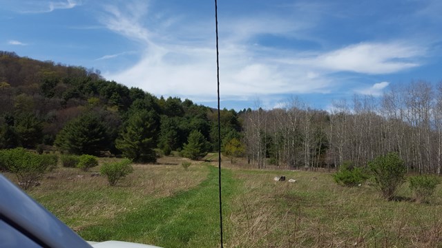 00 Fishing Creek Rd, Roulette, PA 16746