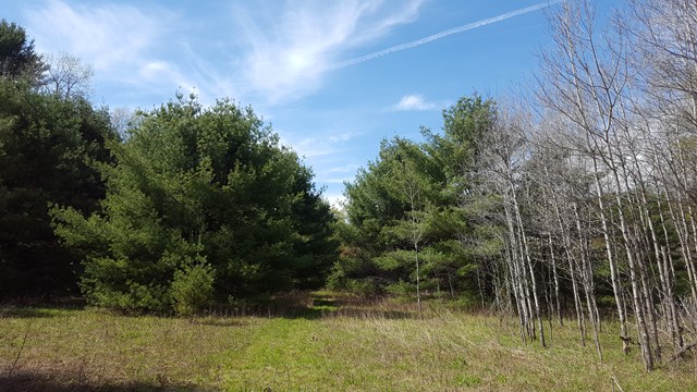 00 Fishing Creek Rd, Roulette, PA 16746
