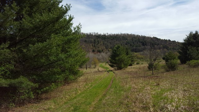 00 Fishing Creek Rd, Roulette, PA 16746