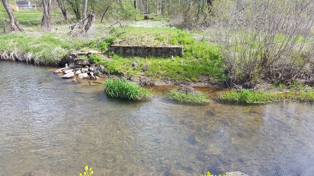 00 Fishing Creek Rd, Roulette, PA 16746