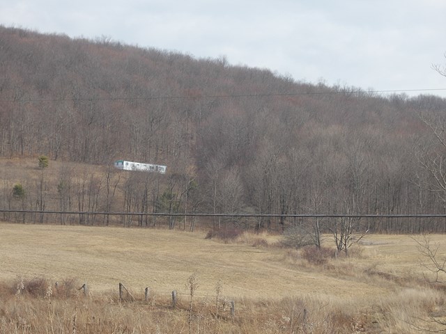 226 Green Hollow Road, Turtlepoint, PA 16750