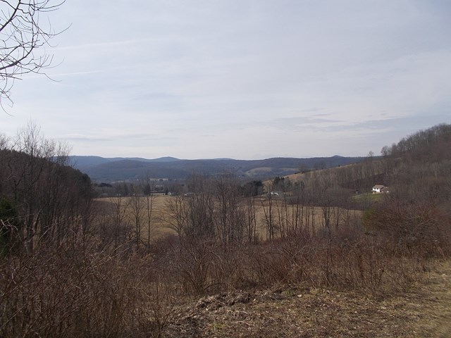226 Green Hollow Road, Turtlepoint, PA 16750