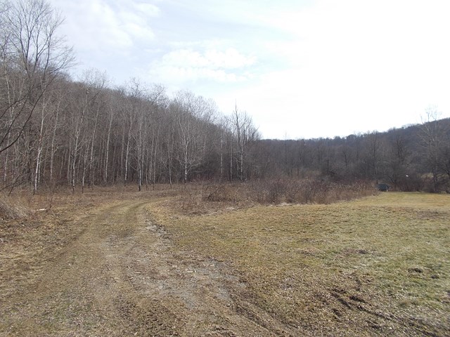 226 Green Hollow Road, Turtlepoint, PA 16750