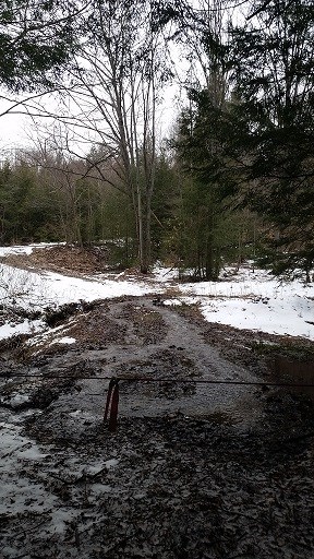 00 Thomas Road, Grampian, PA 16838