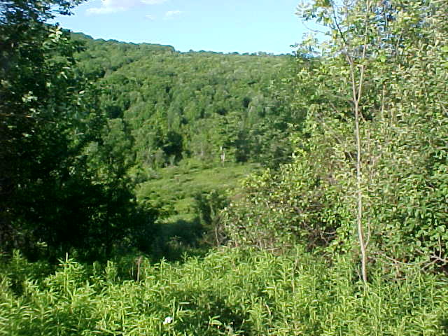 Wellsboro, PA 16901