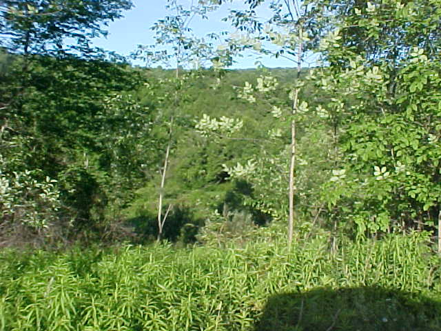 Wellsboro, PA 16901
