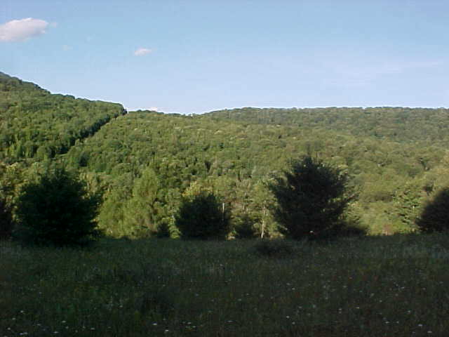 Wellsboro, PA 16901