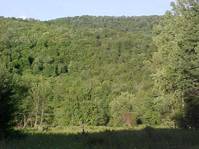 Wellsboro, PA 16901