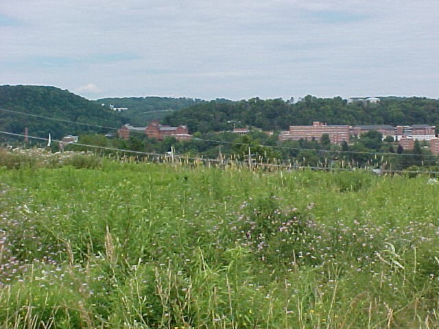 Lot 16 Dorsett Heights, Mansfield, PA 16933