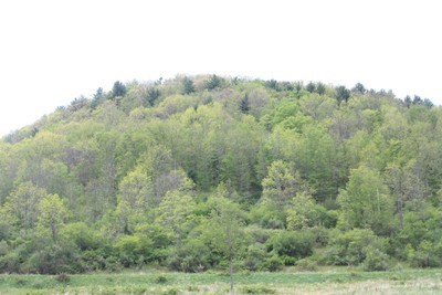 0 North Fork Road, Westfield, PA 16950