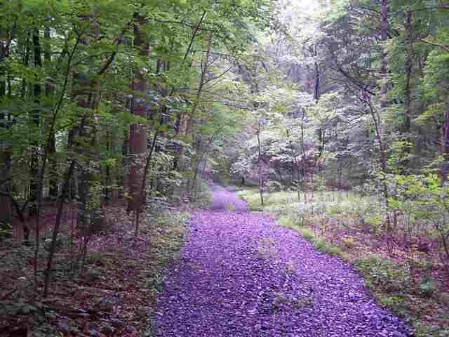 0Copper Ln. Lot 1, Palmyra, PA 17078