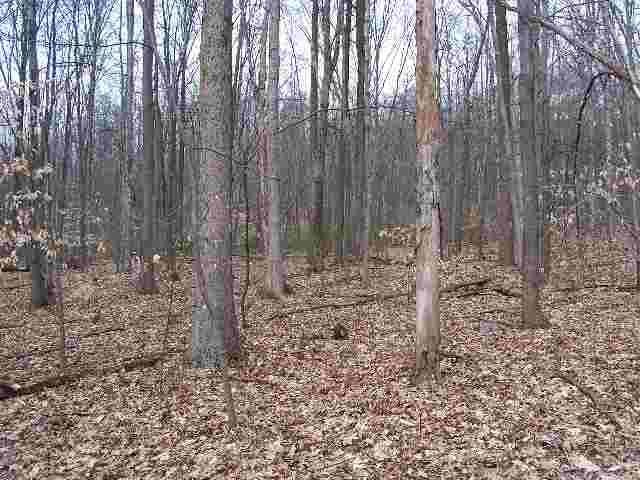 0Copper Ln. Lot 1, Palmyra, PA 17078