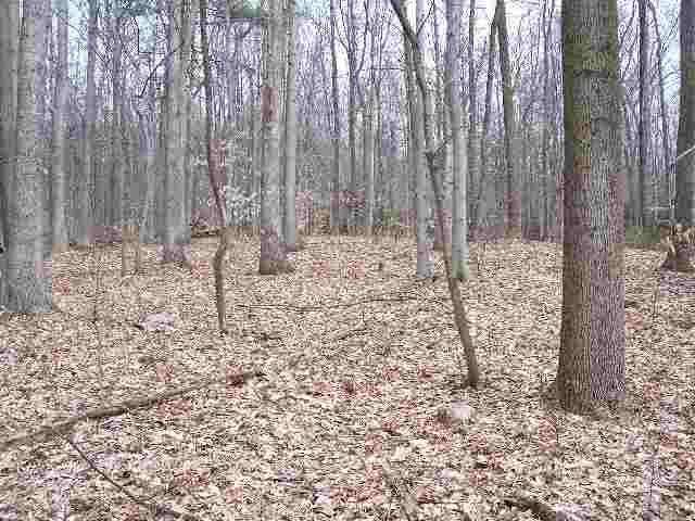 0Copper Ln. Lot 1, Palmyra, PA 17078