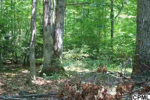 0Copper Ln. Lot 2, Palmyra, PA 17078