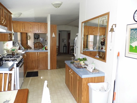 Chesapeake Mobile Home Park Phase I 24 Jacqueline DriveNew Oxford, PA 17350