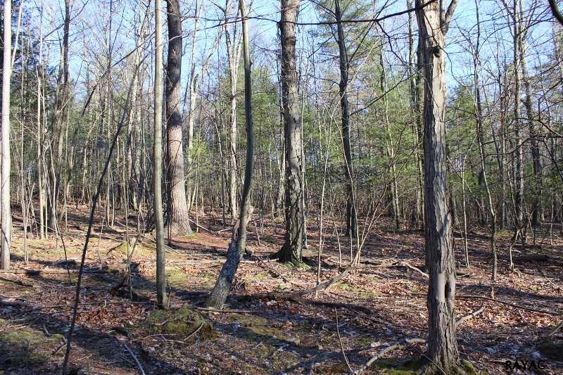 Poplar Springs Road, Orrtanna, PA 17353