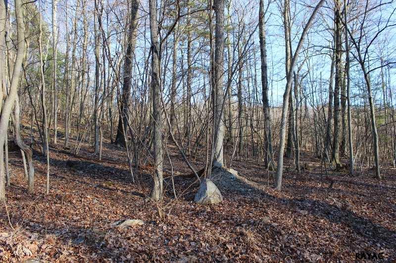 Poplar Springs Road, Orrtanna, PA 17353