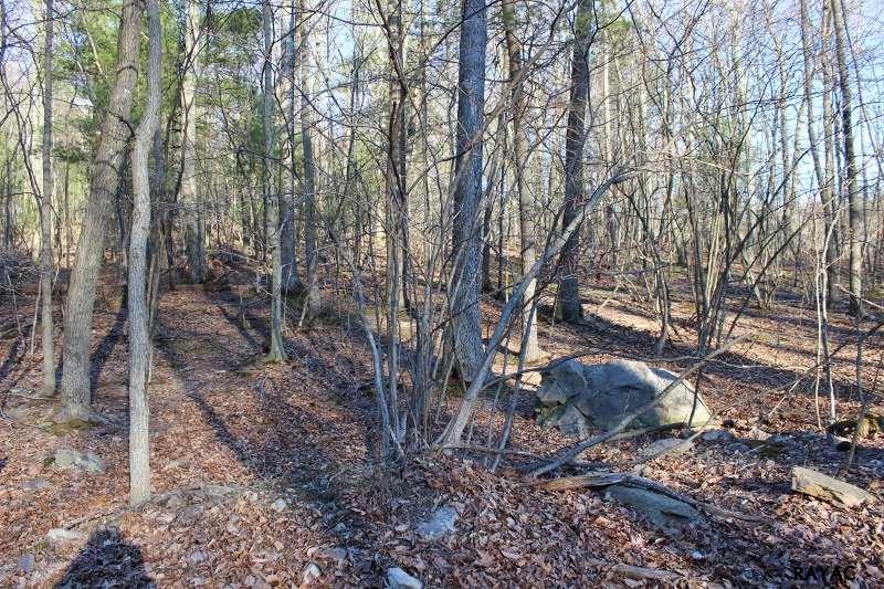Poplar Springs Road, Orrtanna, PA 17353
