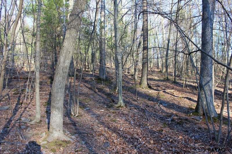 Poplar Springs Road, Orrtanna, PA 17353