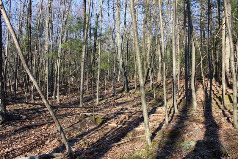 Poplar Springs Road, Orrtanna, PA 17353