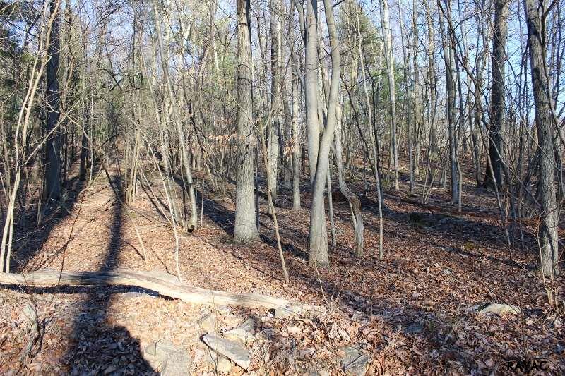 Poplar Springs Road, Orrtanna, PA 17353