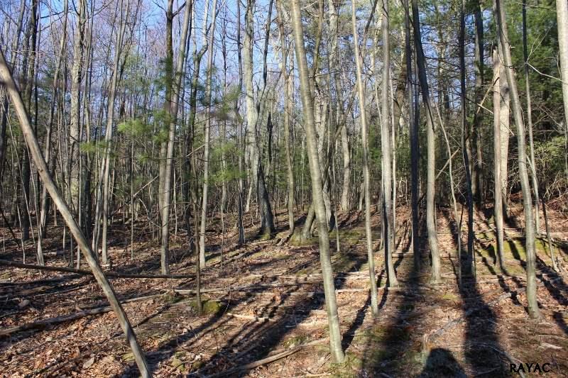 Poplar Springs Road, Orrtanna, PA 17353