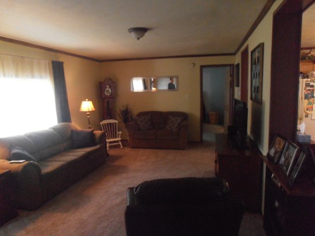 Lil Wolf 4441 Grey Wolf LaneOrefield, PA 18069
