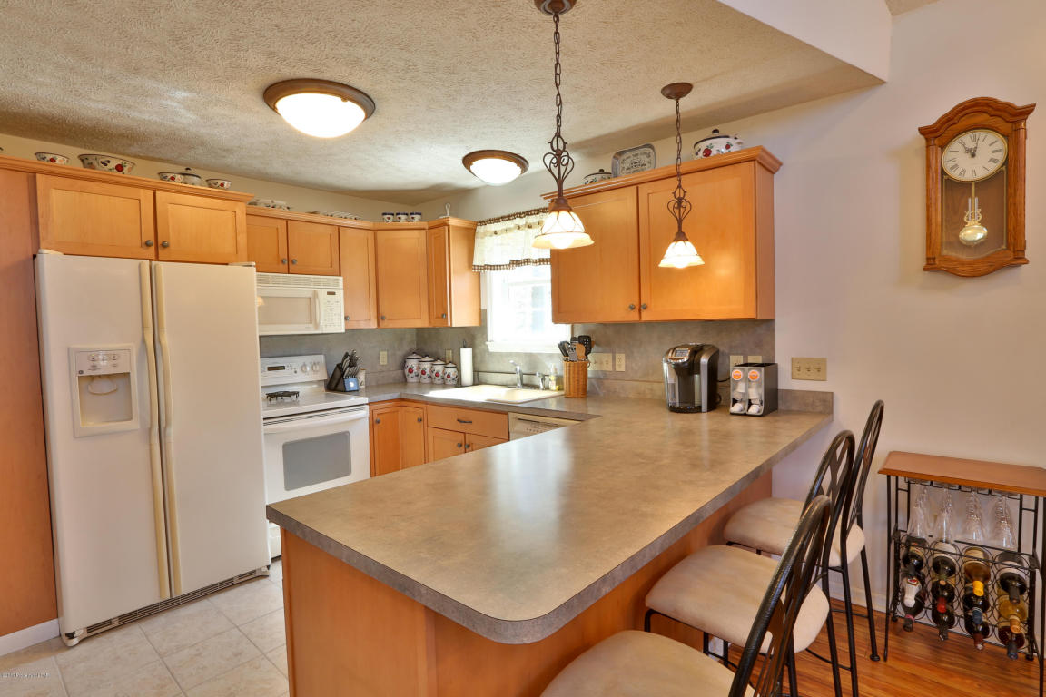 169 Buck Ridge Dr, Drums, PA 18222
