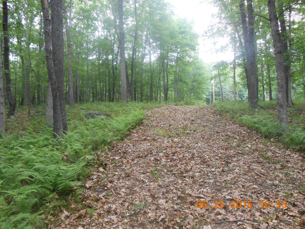 Engvaldsen Road, Hawley, PA 18428