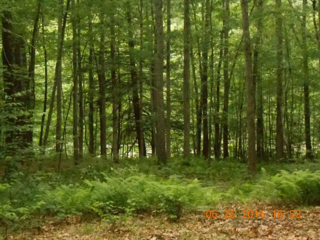 Engvaldsen Road, Hawley, PA 18428