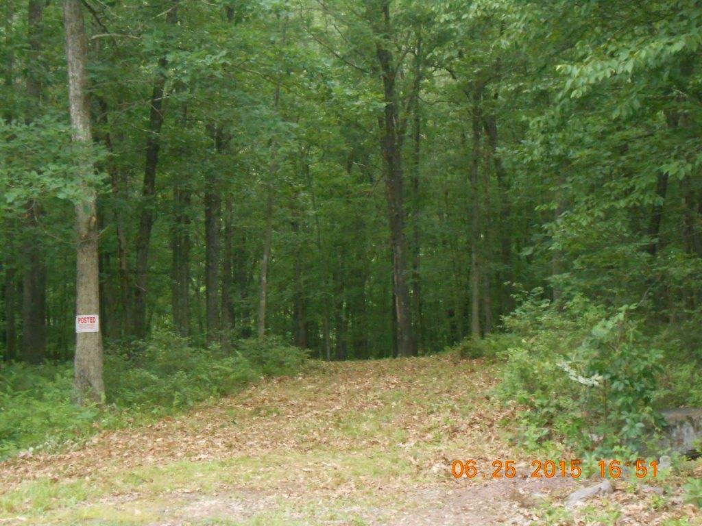 Engvaldsen Road, Hawley, PA 18428