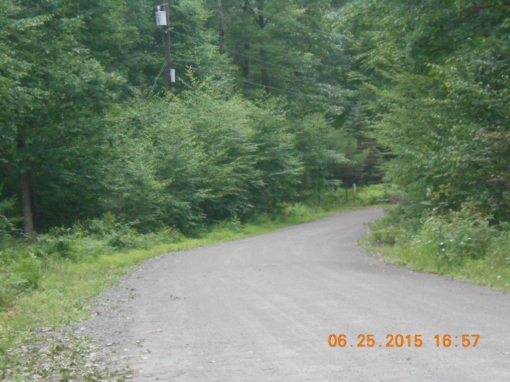 Engvaldsen Road, Hawley, PA 18428