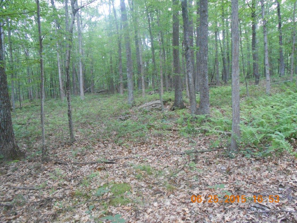 Engvaldsen Road, Hawley, PA 18428