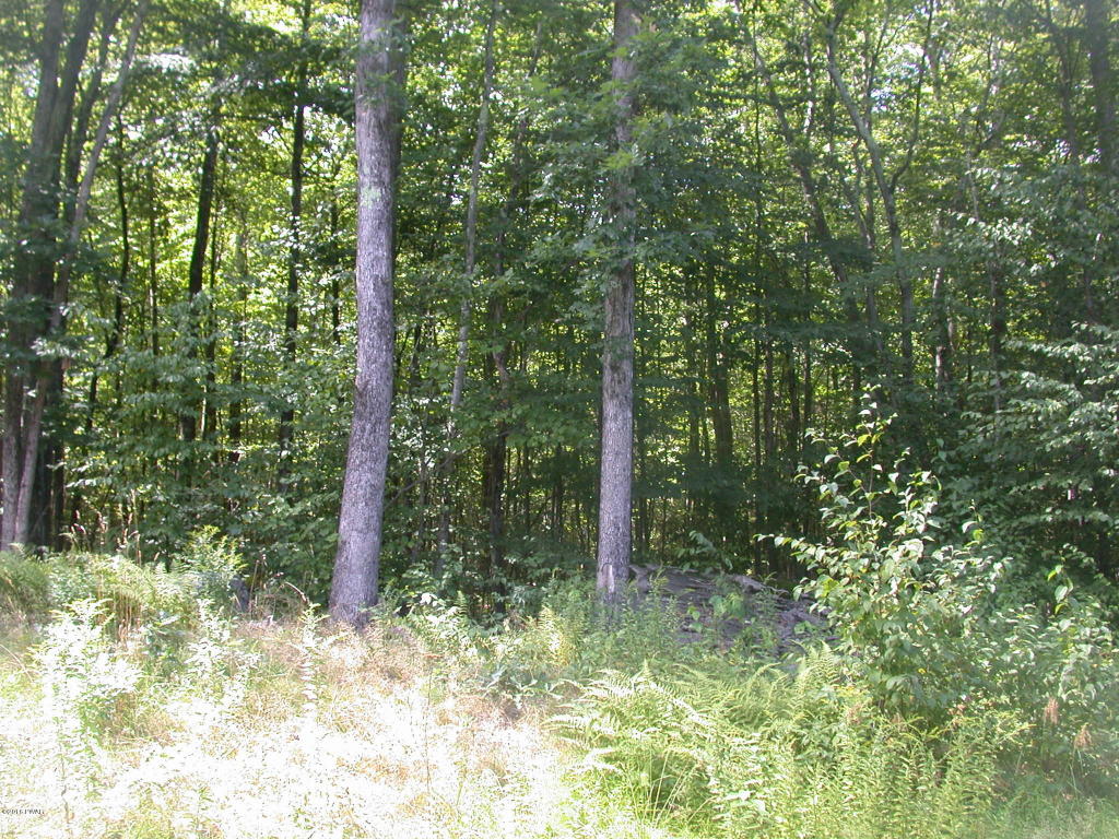 Decker Creek Rd, Hawley, PA 18428
