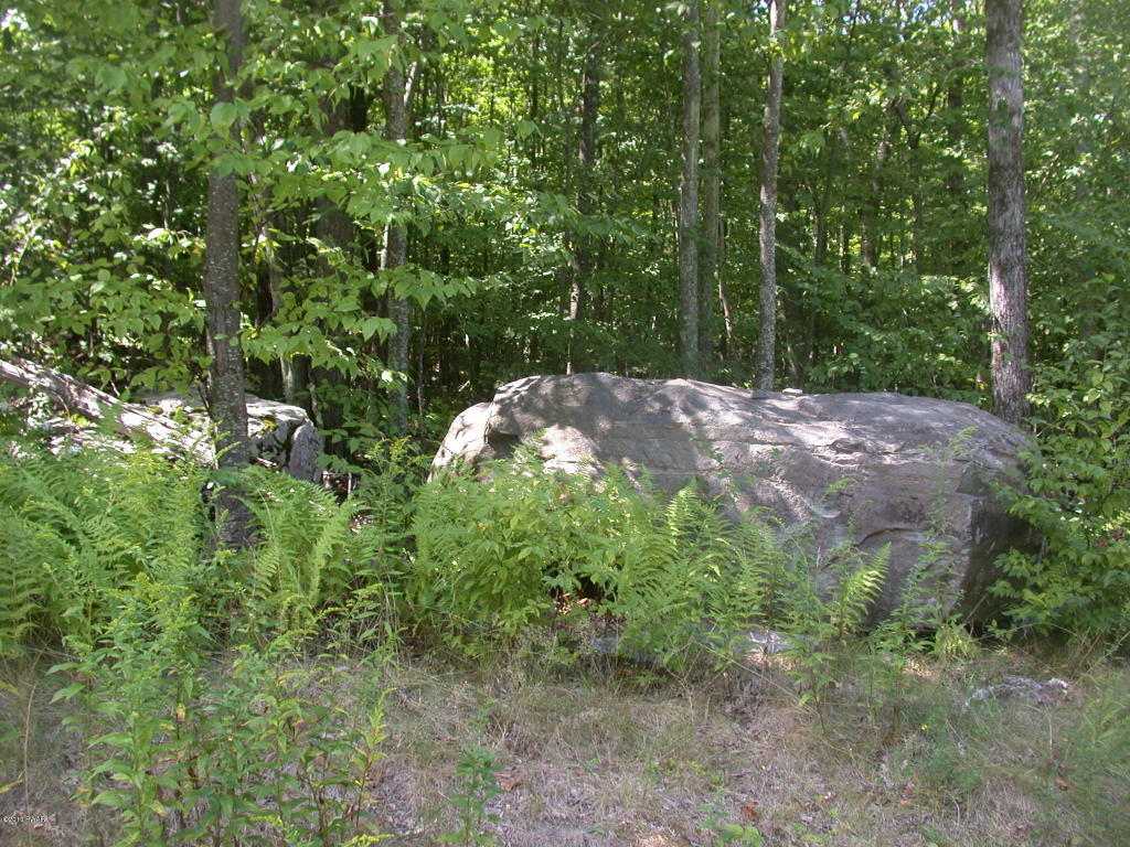 Decker Creek Rd, Hawley, PA 18428