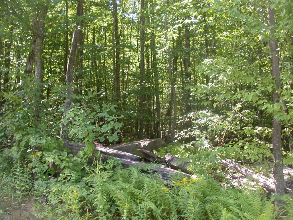 Decker Creek Rd, Hawley, PA 18428
