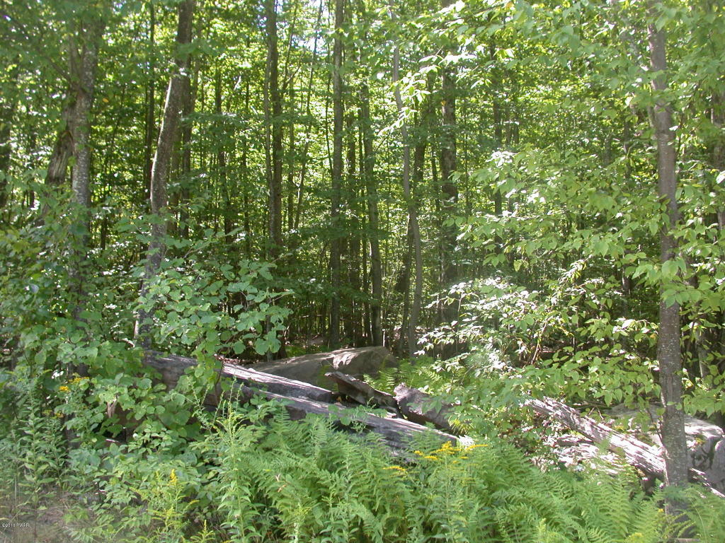 Decker Creek Rd, Hawley, PA 18428