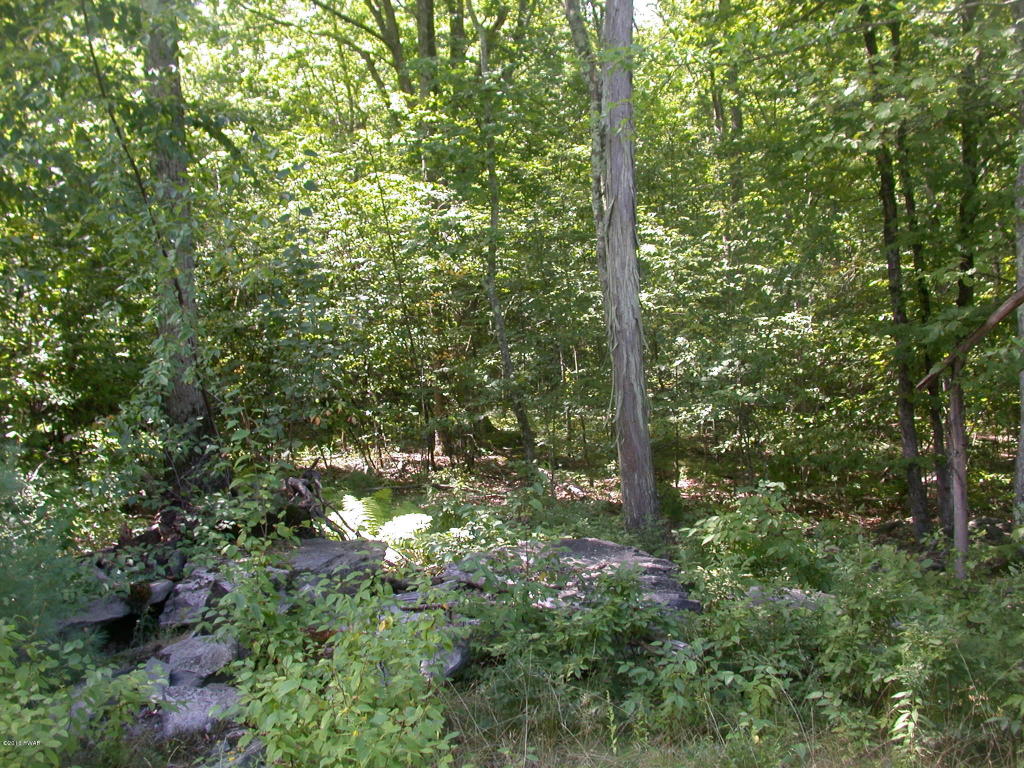 Decker Creek Rd, Hawley, PA 18428