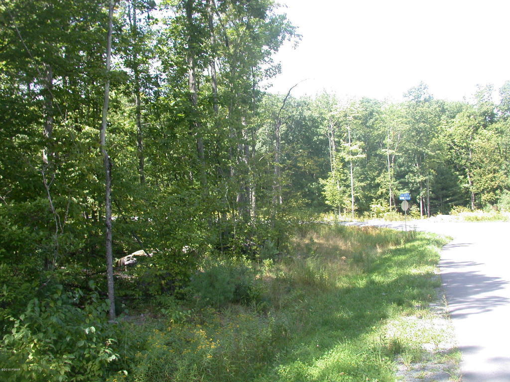 Decker Creek Rd, Hawley, PA 18428