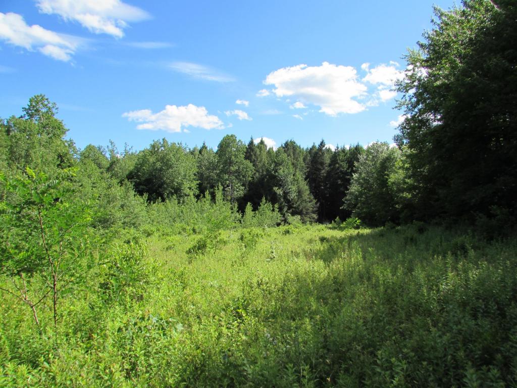 L4 Howe Rd, Madison Township, PA 18444