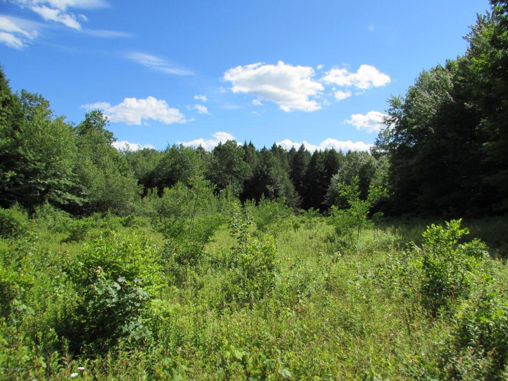 L4Howe Rd, Madison Township, PA 18444