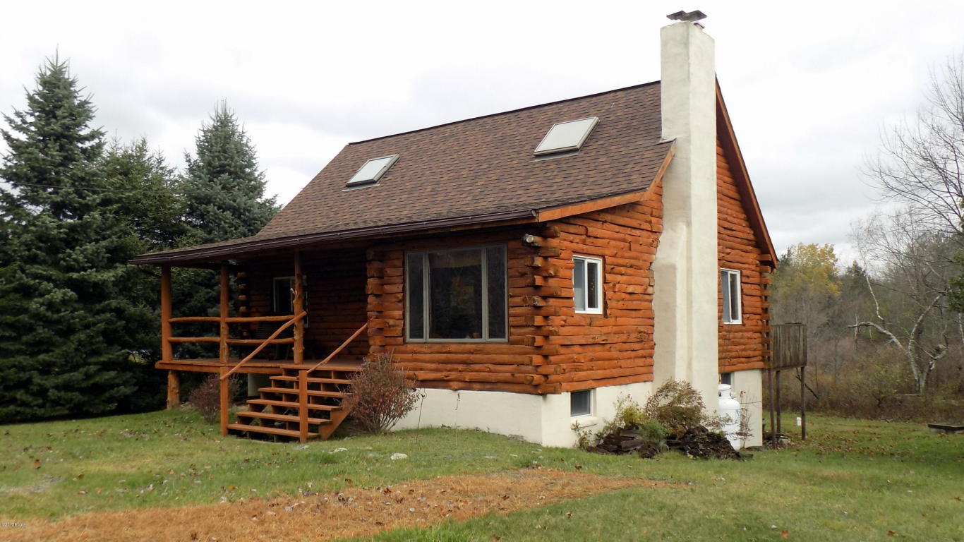 106 Panther Lake Ter, Newfoundland, PA 18445