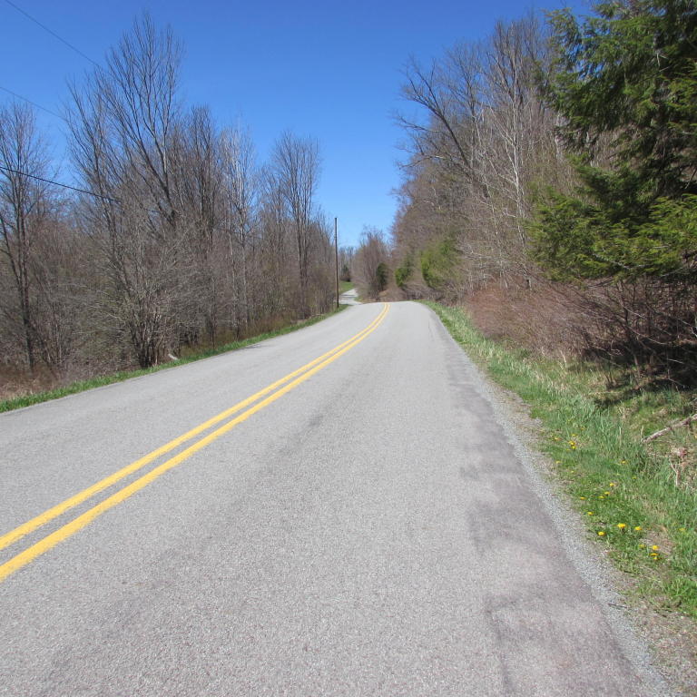 Fallsdale Rd, Tyler Hill, PA 18469